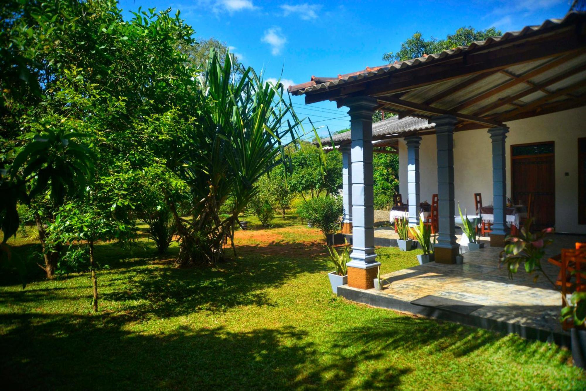 Tropical Garden Homestay Pidurangala Sigiriya Ngoại thất bức ảnh